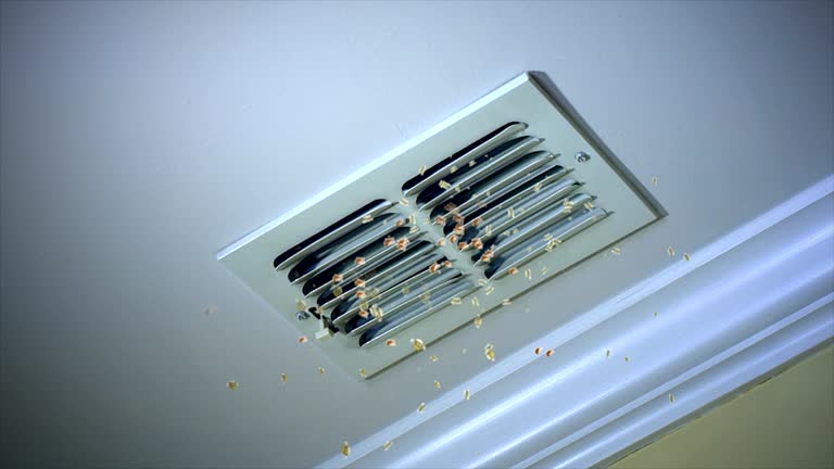 Best HVAC System Cleaning  in Dallastown, PA