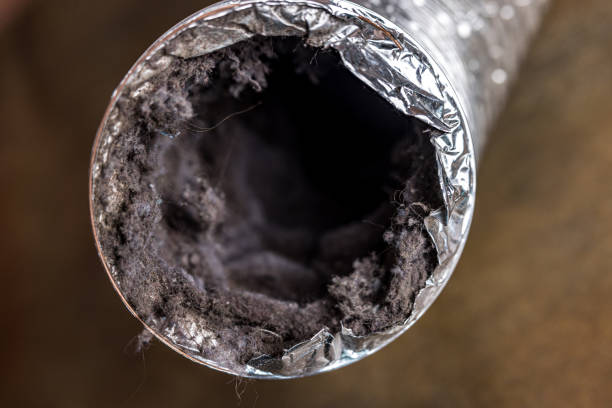 Best Affordable HVAC Duct Cleaning  in Dallastown, PA