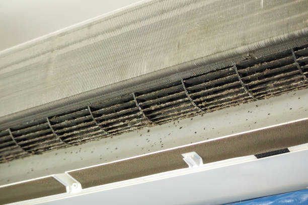 Best HVAC Duct Inspection Services  in Dallastown, PA